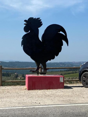 IL NIDO DI RONDINE Siena